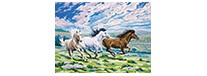 Galloping horses, zestaw do numeromalowania, Reeves