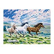 Galloping horses, zestaw do numeromalowania, Reeves