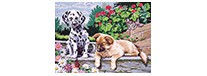 Dogs look who's watching, zestaw do numeromalowania, Reeves