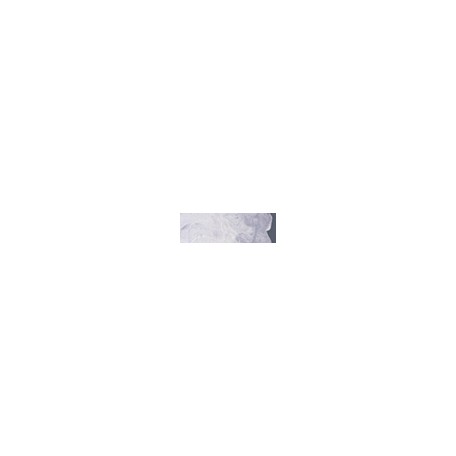 3121 SF Titanium-zinc white, Williamsburg 37ml.