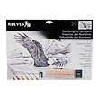 Soaring Eagle, zestaw do numerorysowania, Reeves