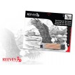 Soaring Eagle, zestaw do numerorysowania, Reeves