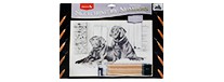 Black labrador, zestaw do nauki szkicu, Reeves