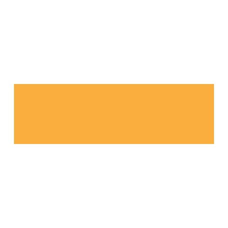 O555 gold brushmarker wn