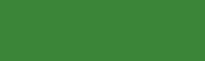 Green Essdee Block Print