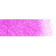 Pastel renesans Purpura błyszcząca