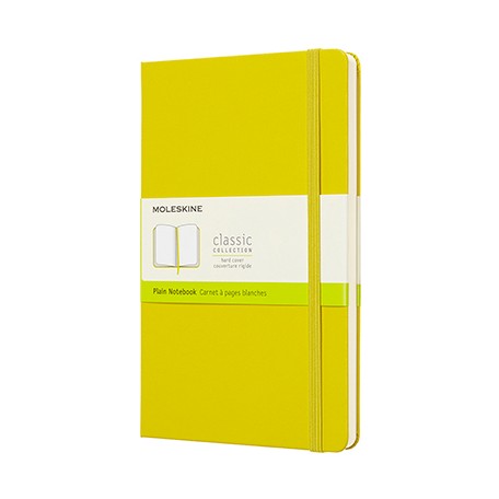 notes moleskine dandelion