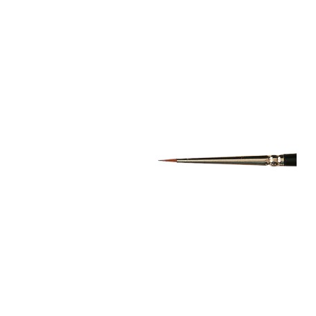 pedzle Raphael Kolinsky 8404