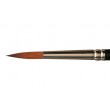 pedzle Raphael Kolinsky 8404