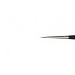 pedzle Raphael Kolinsky 8402