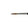 pedzle Raphael Kolinsky 8408