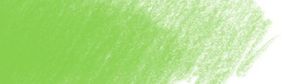 polychromos kredka artystyczna