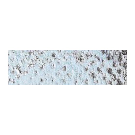 pastel pencil caran dache