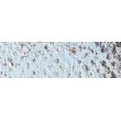 pastel pencil caran dache