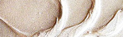 801 Pearl white paste, Polycolor BODY, 140ml