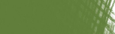016 Olive green, pastel w kredce Conté a Paris