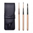 le voyageur raphael brushes