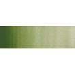 farba akwarelowa professional W&N