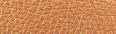 905 Bronze, farba do skóry i wyrobów skóropodobnych, Viva Dec