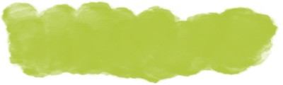 Ecoline Brush Pen Talens