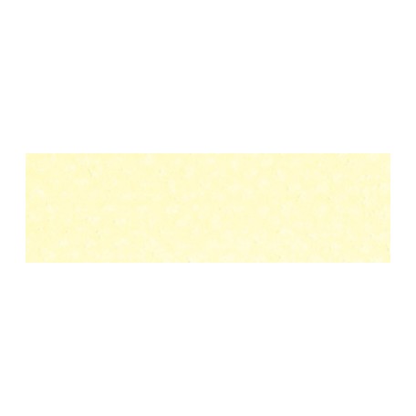 pan pastel color 9ml