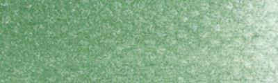 660.5 PanPastel Chromium Oxide Green 9ml