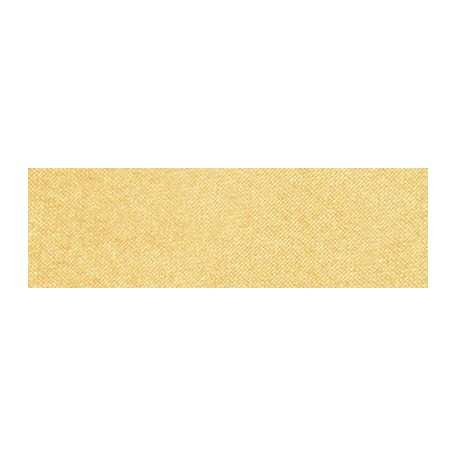 910.5 PanPastel METALLIC Light Gold