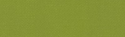 313 Warm green Idea DECOR