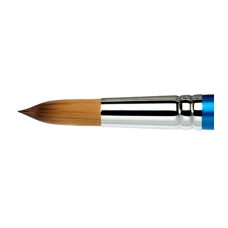 pedzle cotman winsor newton