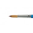 pedzle cotman winsor newton