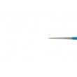 pedzle coman winsor newton