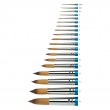 pedzle coman winsor newton