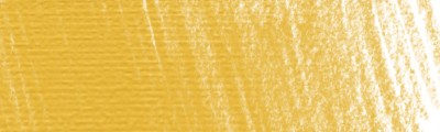 P060 Dandelion