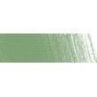 P450 Green oxide