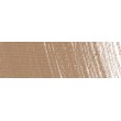 P560 Raw umber