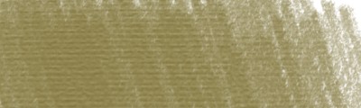 16 Dark moss