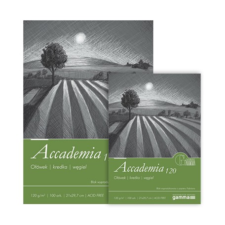 Blok Fabriano Accademia 120g
