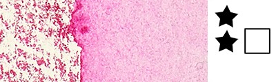 545 Quinacridone magenta, sztyft akwarelowy Professional, Winsor