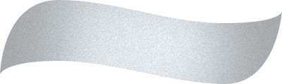 pisak pędzelkowy Metallic Brush
