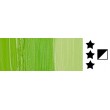 farba olejna Rembrandt 40 ml
