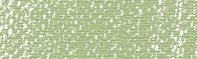 620.10 Olive green, pastel sucha Rembrandt