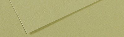 480 Light green, Mi-Teintes Canson 50 x 65 cm