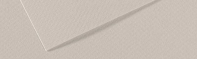 120 Pearl grey, Mi-Teintes Canson 50 x 65 cm