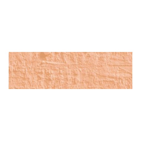 pastel olejna Neopastel salmon