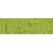 pastel olejna Neopastel light olive