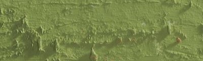 pastel olejna Neopastel khaki green