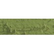 pastel olejna Neopastel khaki green