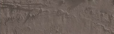 pastel olejna Neopastel vandycke brown