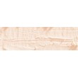 pastel olejna Neopastel cream