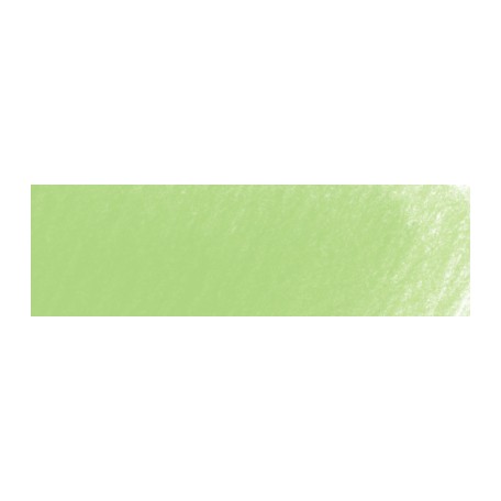 221 Light Green kredka Pablo Caran d'Ache